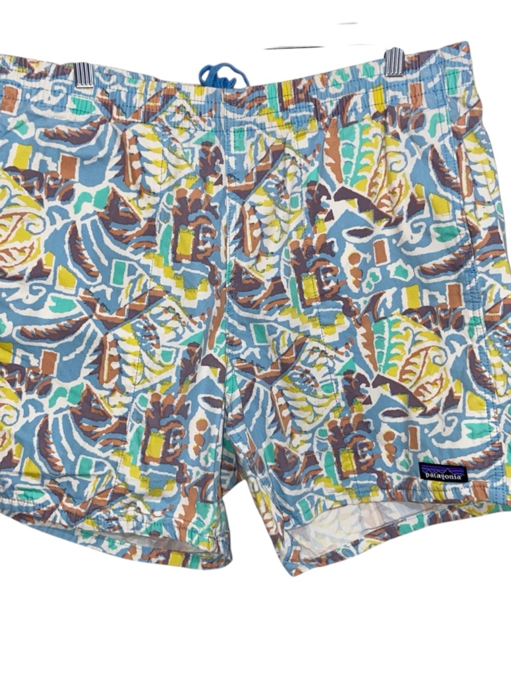Patagonia Shorts Mens Large Funhoggers Thriving Planet Logo Geo Baggy Beach